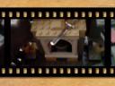 dumbledores_office.jpg