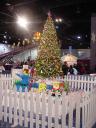 dsc00110.jpg
