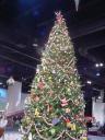 dsc00112.jpg