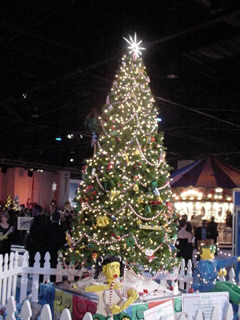 dsc00058.jpg