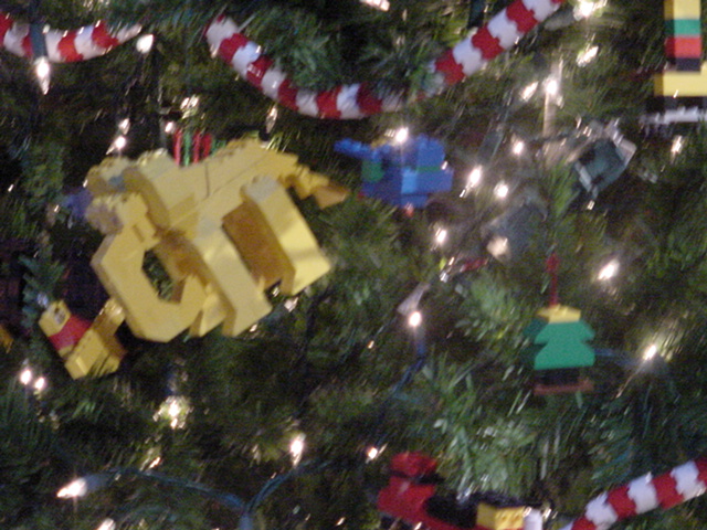 dsc00067.jpg