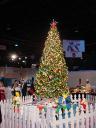 dsc00061.jpg
