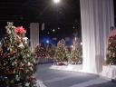 dsc00106.jpg