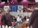 dsc00081.jpg