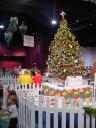 dsc00089.jpg