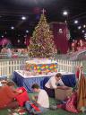 dsc00128.jpg