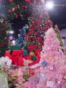 dsc00055.jpg