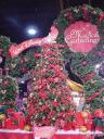 dsc00057.jpg