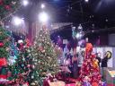 dsc00058.jpg