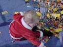 dsc00011.jpg