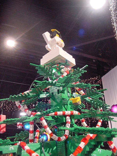 dsc00023.jpg