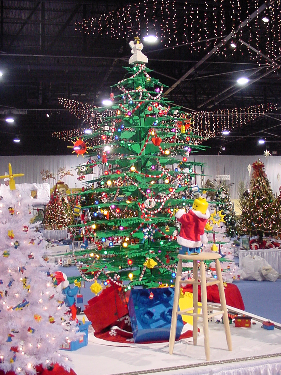 dsc00073.jpg