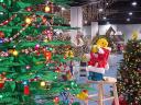 dsc00020.jpg