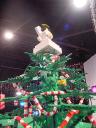 dsc00023.jpg