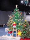 dsc00033.jpg