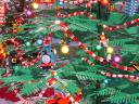 dsc00040.jpg