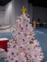 dsc00049.jpg