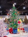 dsc00073.jpg