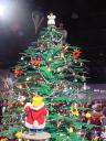 dsc00021.jpg