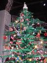 dsc00025.jpg