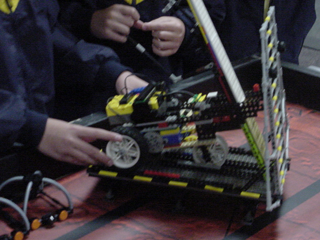 dsc00010.jpg