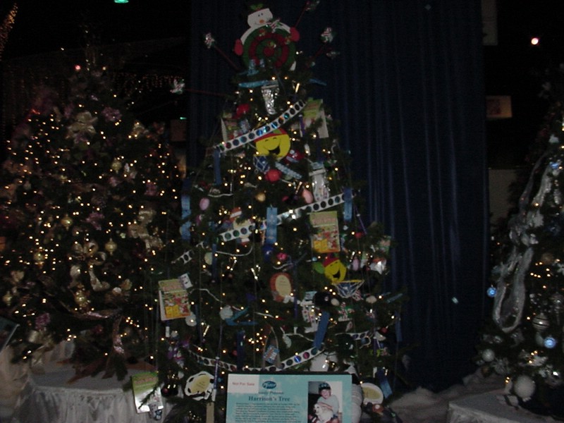 dsc00036.jpg