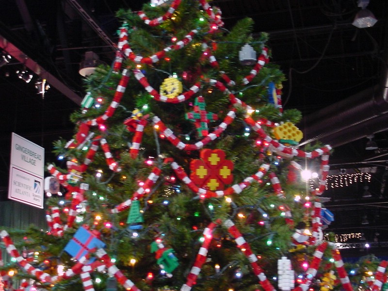 dsc00064.jpg