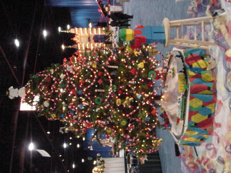 dsc00081.jpg