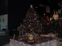 dsc00002.jpg