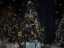dsc00036.jpg