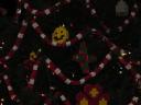 dsc00062.jpg