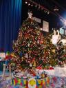 dsc00065.jpg
