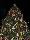 dsc00069.jpg