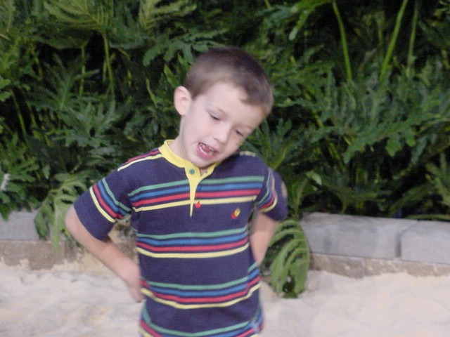 dsc00022.jpg