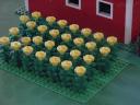 flower31.jpg