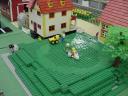 dsc00100.jpg