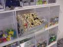 dsc00113.jpg