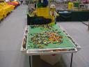 dsc00027.jpg