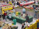 dsc00034.jpg