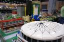 dsc06911.jpg