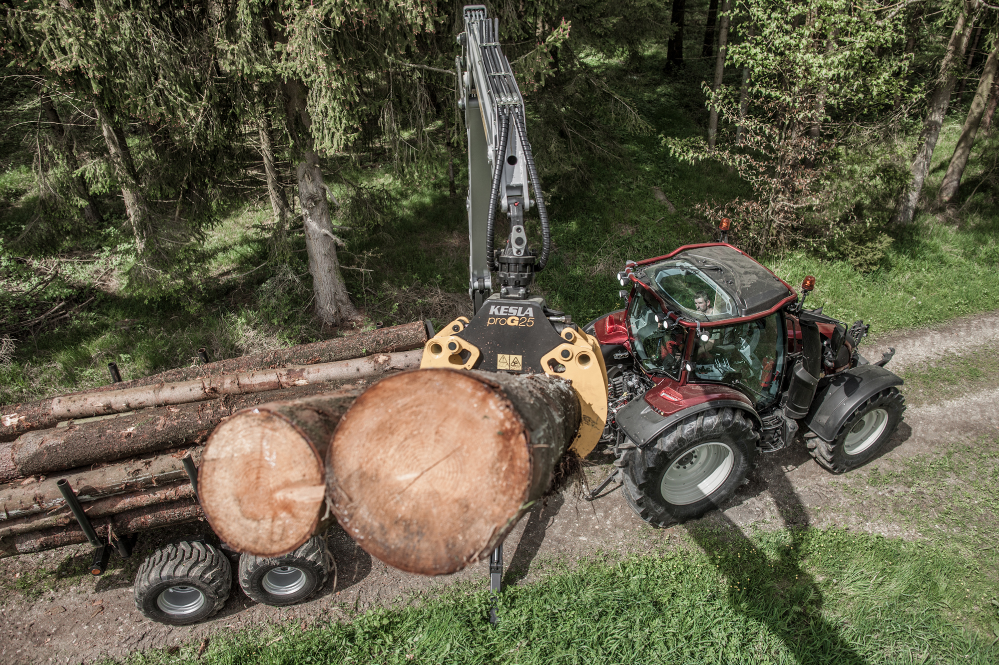 zidea.jpg