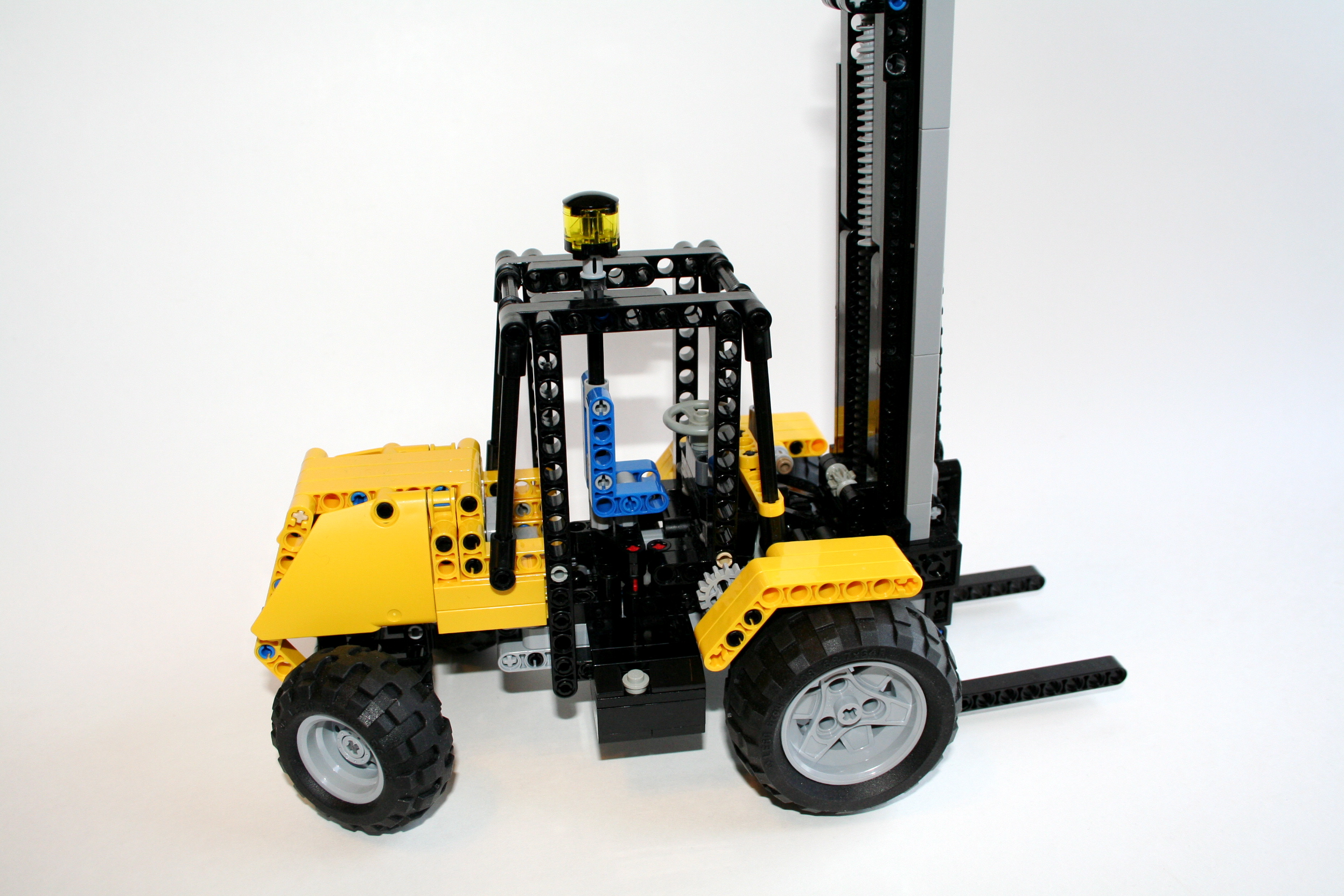 ajcb930.jpg