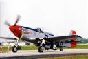 p51_mustang_lg.jpg
