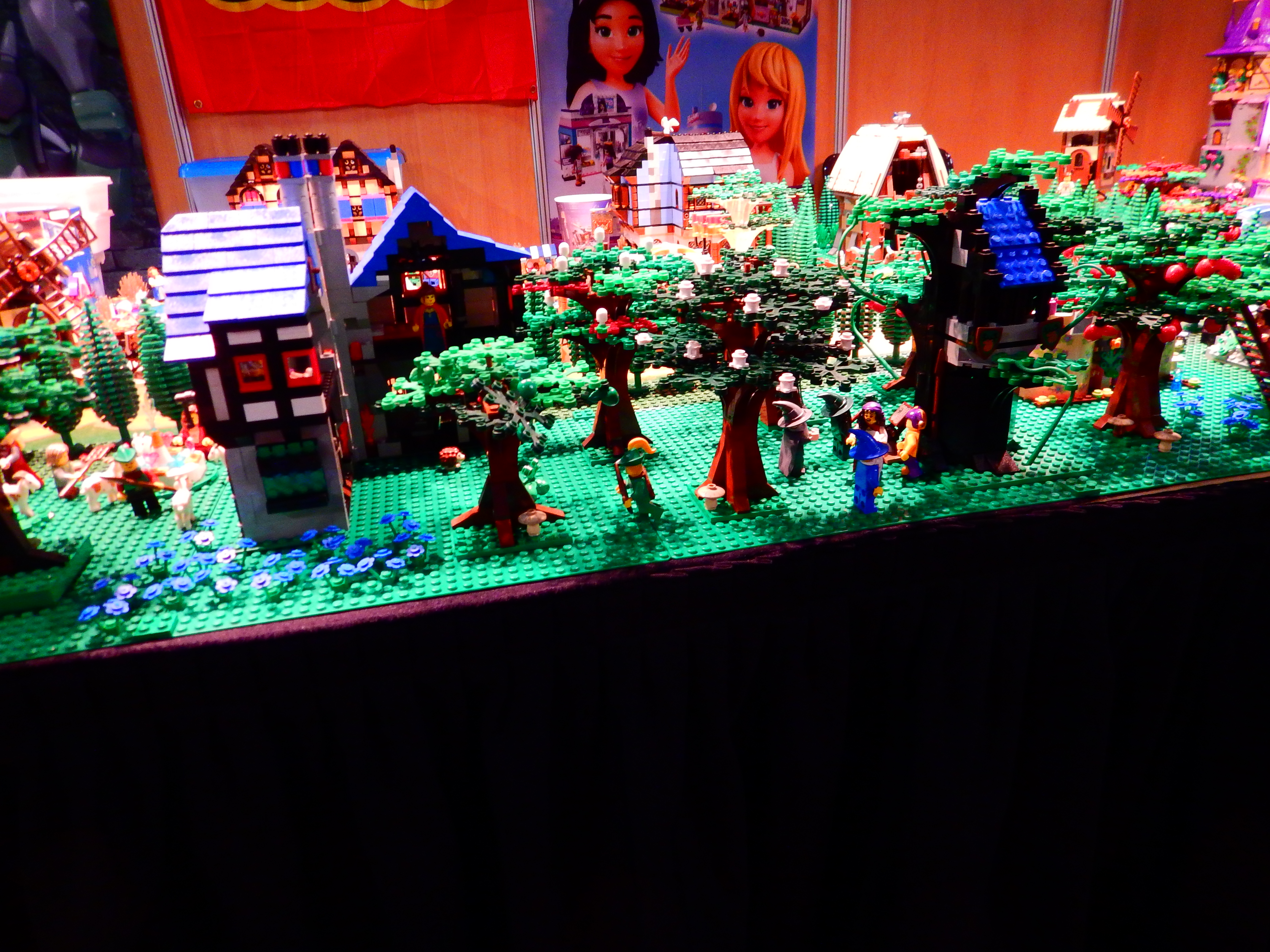 dscn0224.jpg