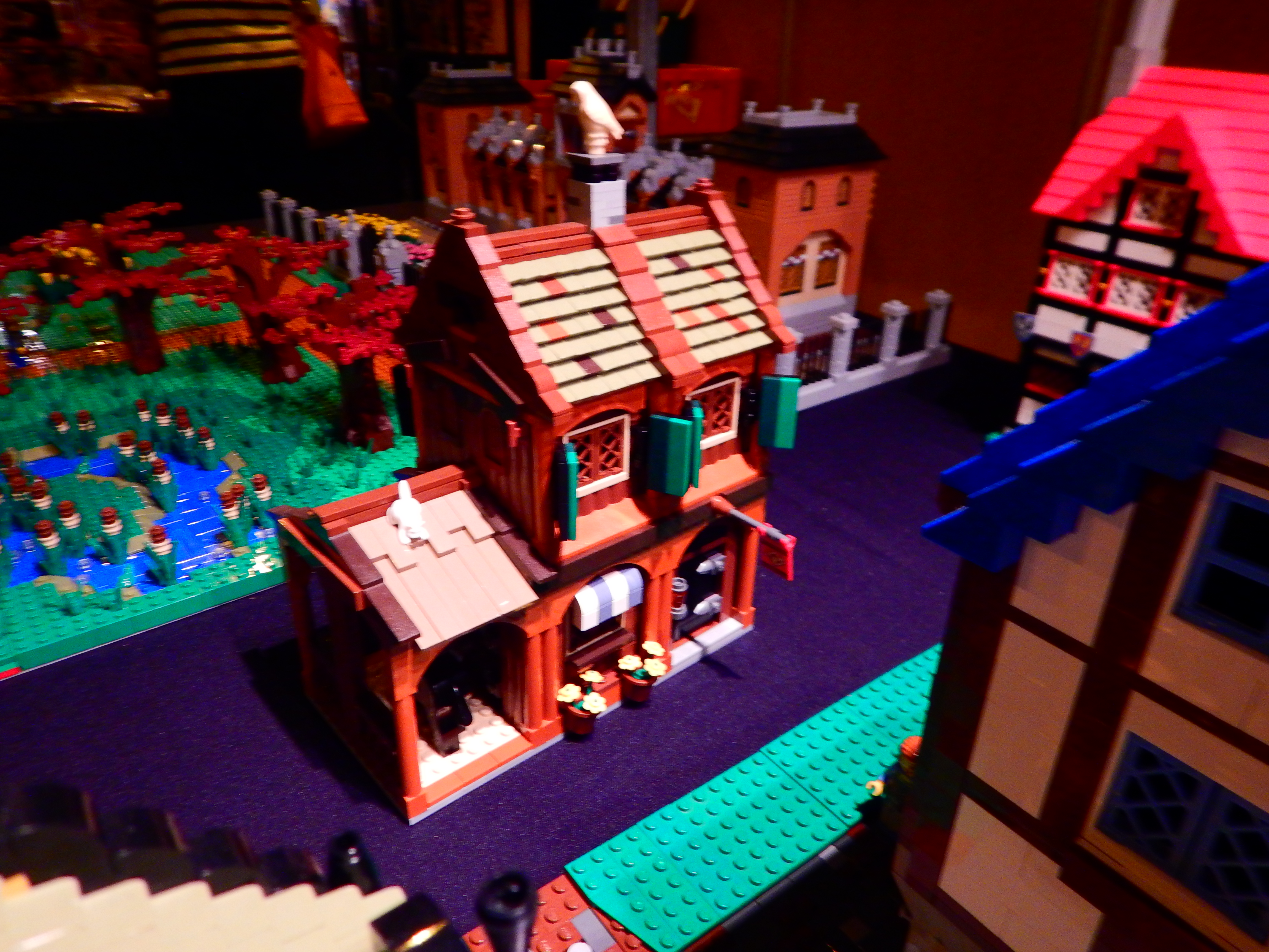 dscn0290.jpg