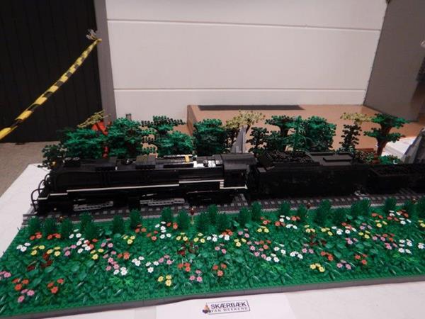dscn0779.jpg