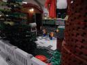 dscn0460.jpg