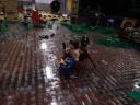 dscn0515.jpg