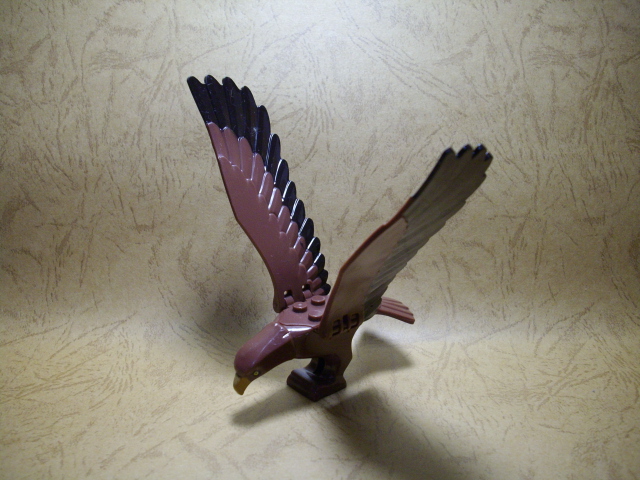 e-006.jpg
