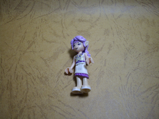 41071-06.jpg